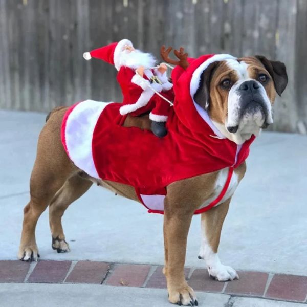 Santa's Reindeer Pet Costume