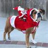 Santa's Reindeer Pet Costume